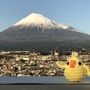 シズオカ＊ハナコ