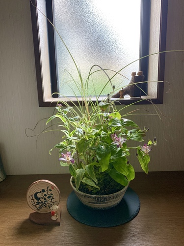 出店イメージ2