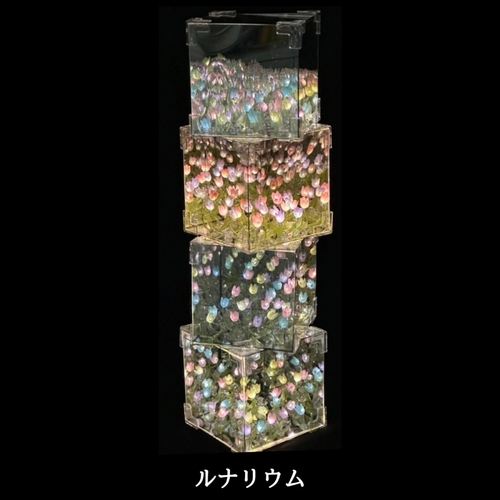 出店イメージ2