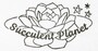 Succulent Planet