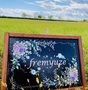 fremyuze