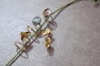 Yu Kurihara jewelry