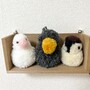 紙だの実