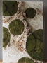 F.design